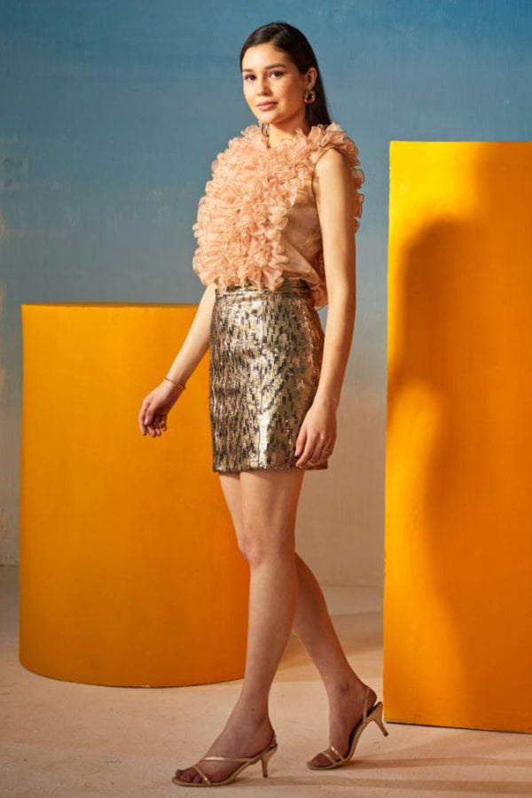 Beige & Golden Sequence Skirt